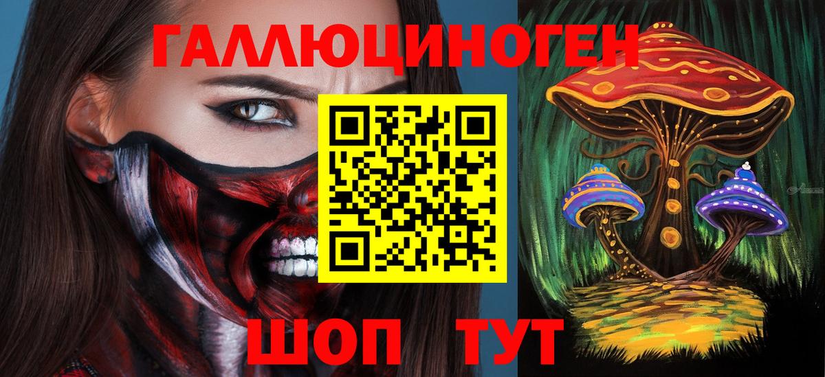 Псилоцибиновые грибы Cubensis Ишим