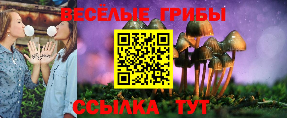 Галлюциногенные грибы мицелий  Галлюциногенные грибы GOLDEN TEACHER  Ишим  Вход с VPN 
